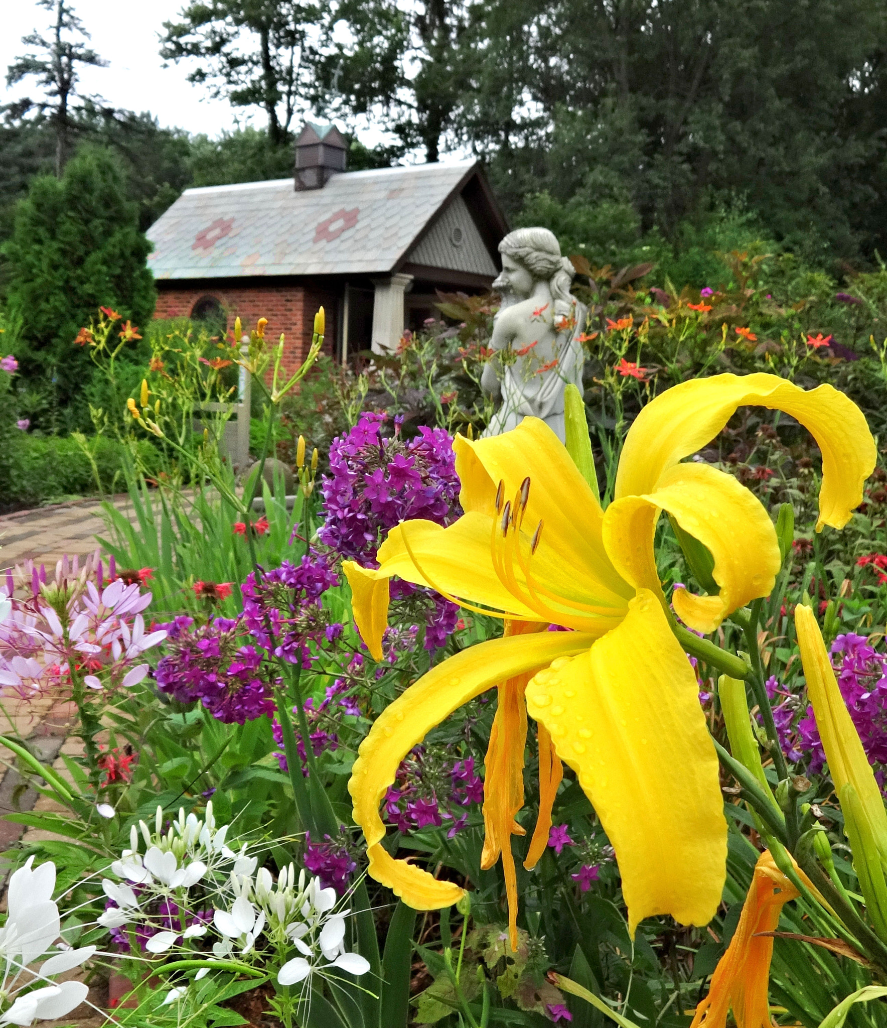 Sony Cyber-shot DSC-WX80 sample photo. Big yellow lily and staute where i work each day. i am a gardener and nature lover. photography