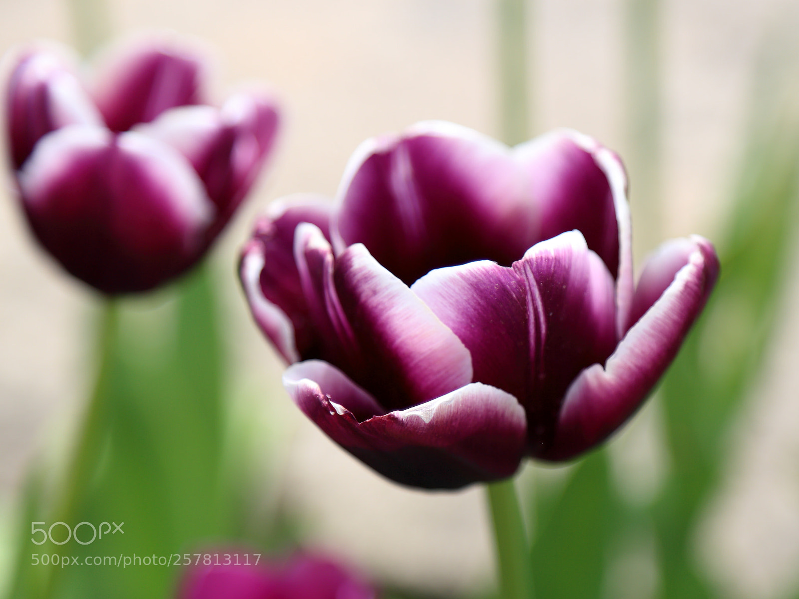 Canon EOS 6D + Canon EF 24-105mm F4L IS USM sample photo. Edge effects photography