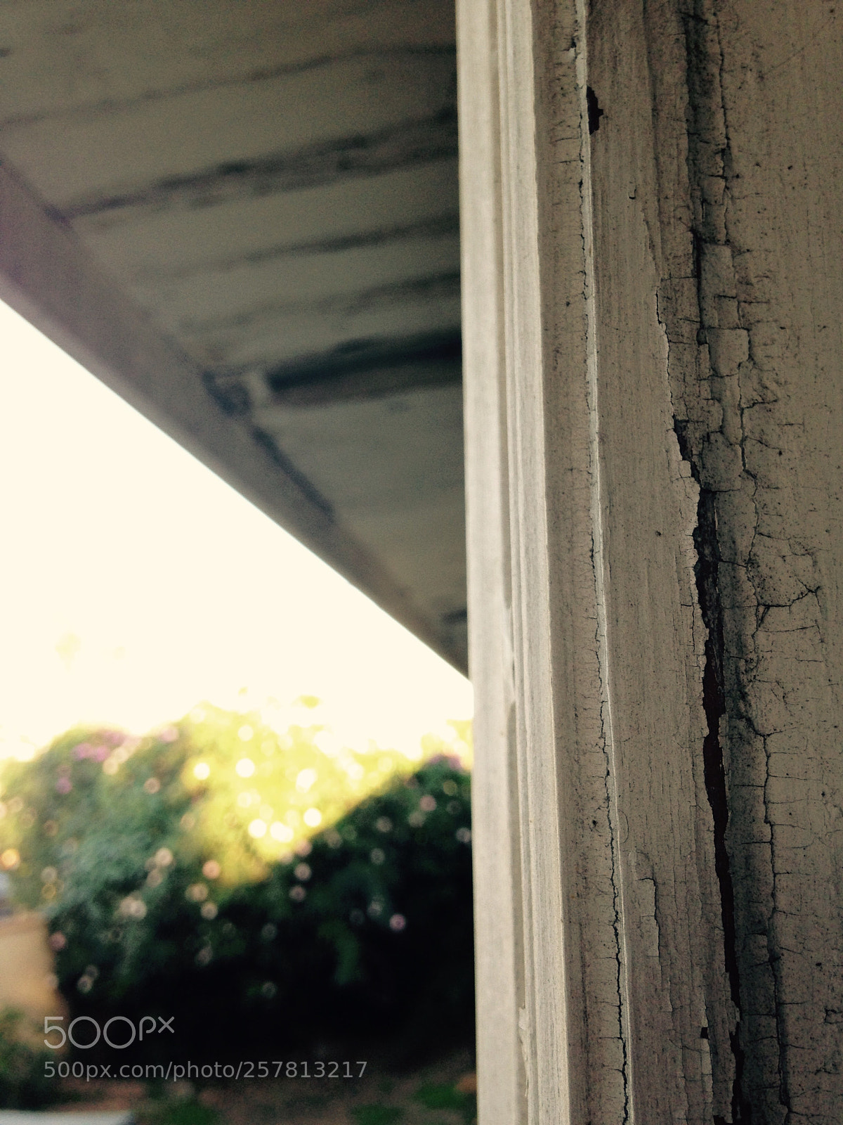 Apple iPhone 5c sample photo. Untitled photography
