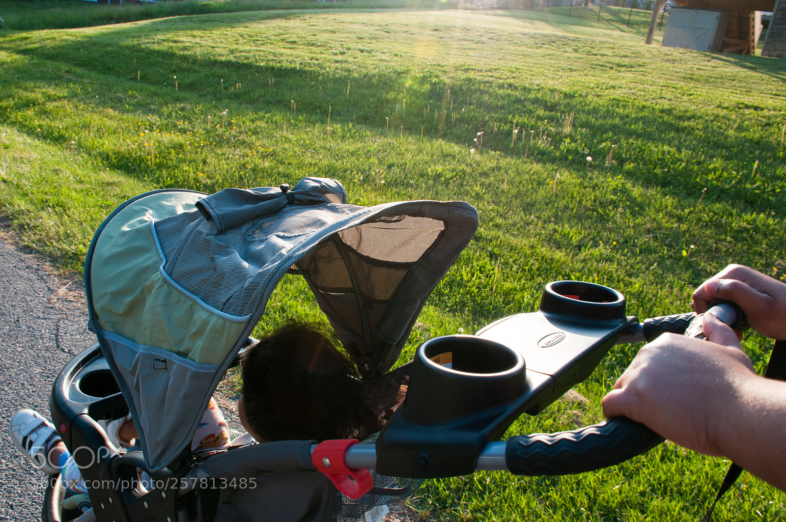 Nikon D300 sample photo. Nurture photography