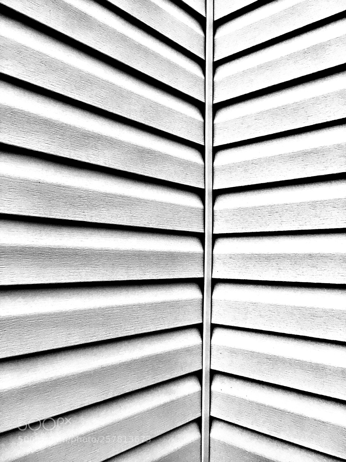 Apple iPhone SE sample photo. Panels photography