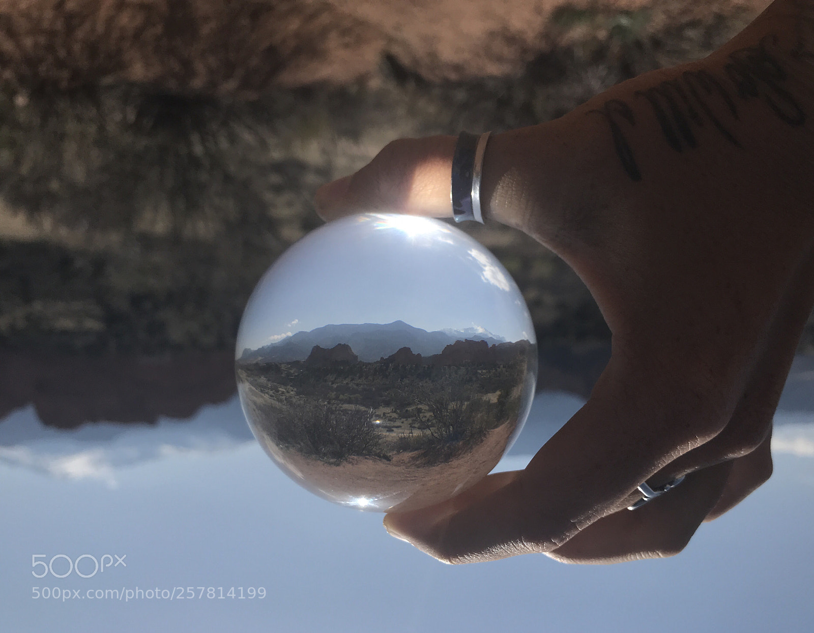 Apple iPhone 7 Plus sample photo. Lensball photography