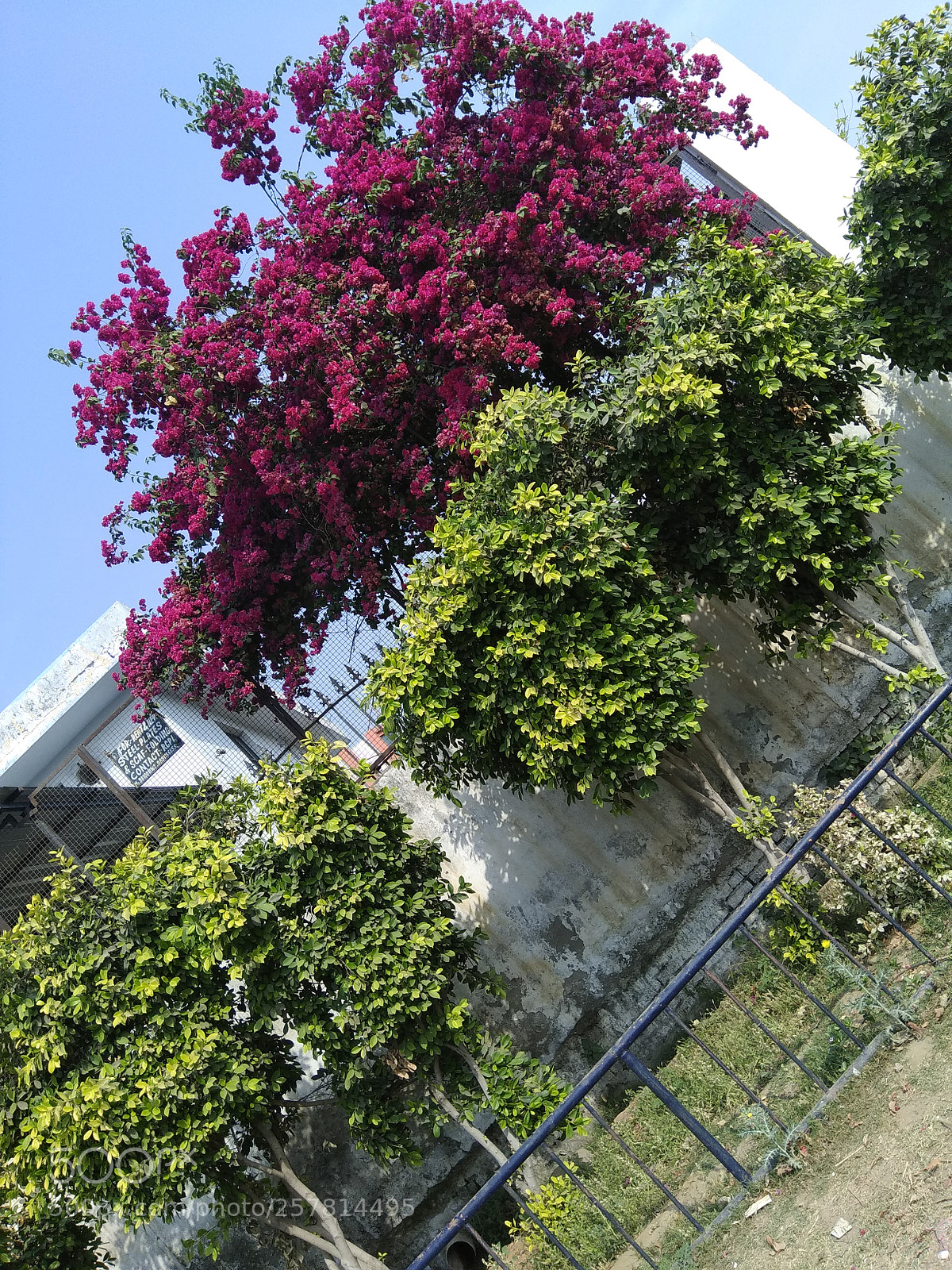 Xiaomi Redmi Note 4 sample photo. Img_20180403_090226.jpg photography