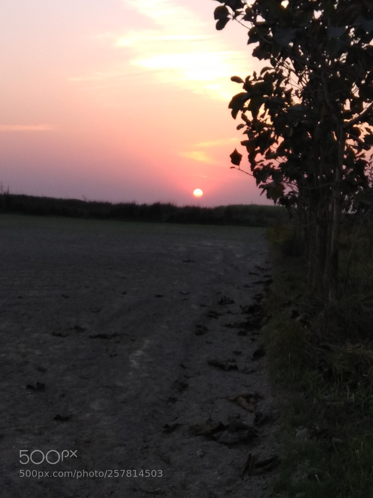 Xiaomi Redmi Note 4 sample photo. Img_20180306_174919.jpg photography