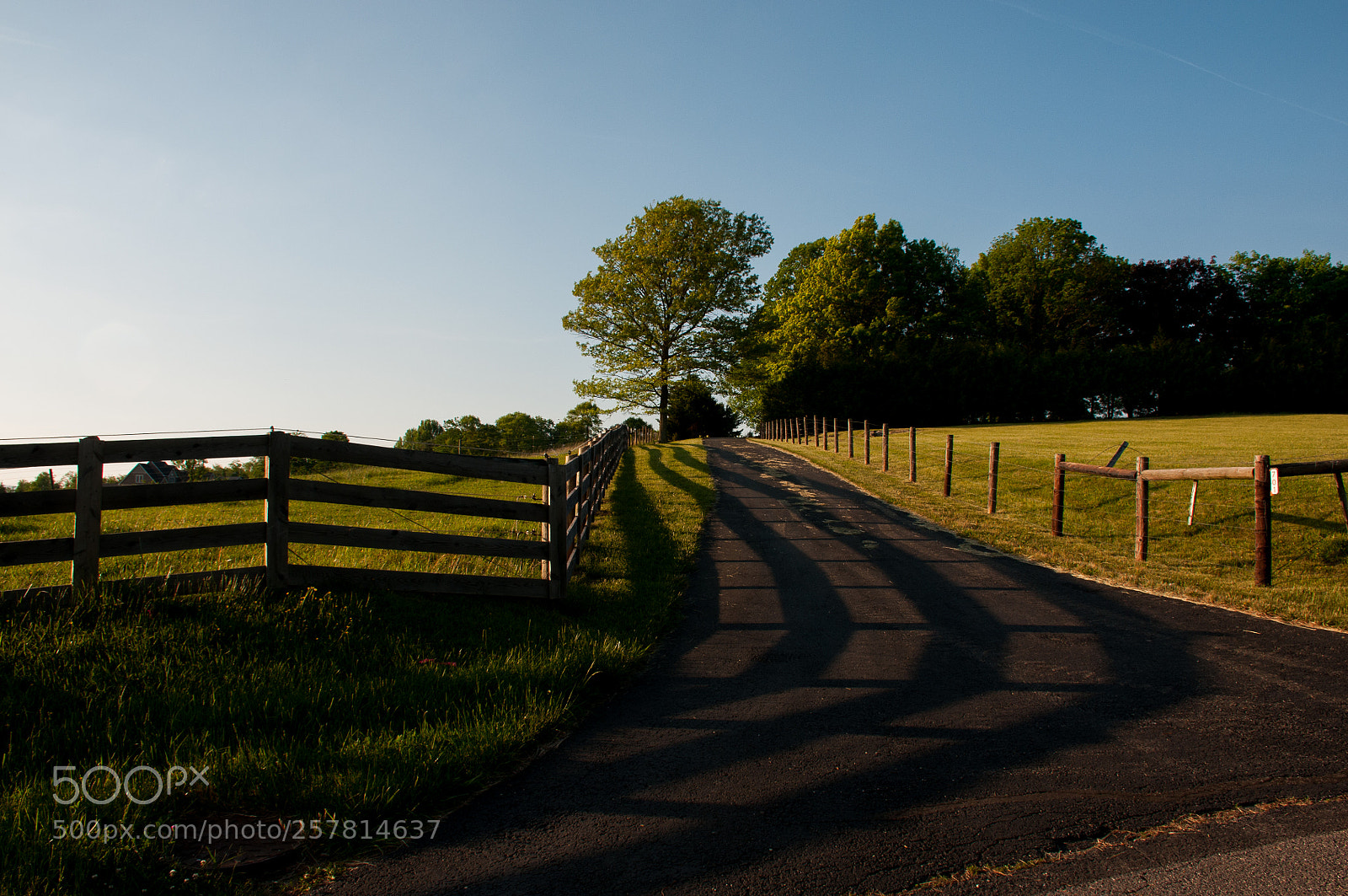 Nikon D300 sample photo. Winding shadows photography