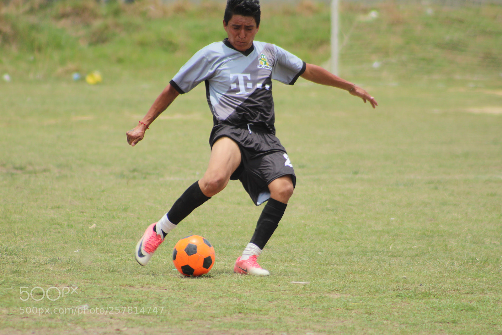 Canon EF 75-300mm f/4-5.6 sample photo. [] photography