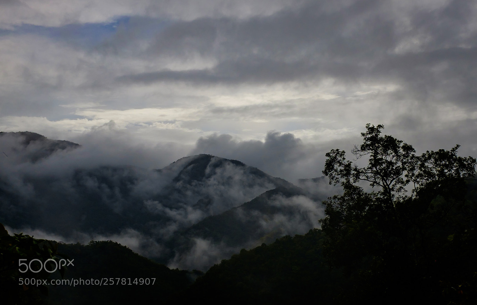 Fujifilm X100T sample photo. Mountain mist photography