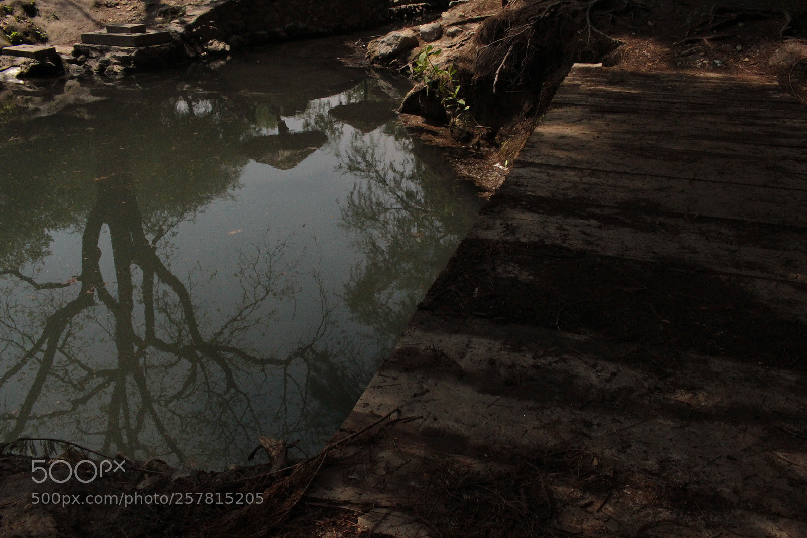 Canon EOS 700D (EOS Rebel T5i / EOS Kiss X7i) sample photo. Reflejos de vida photography