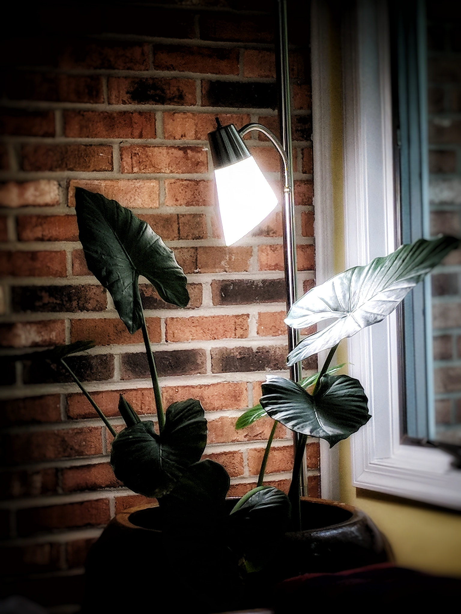 Google Pixel XL sample photo. Into the light photography