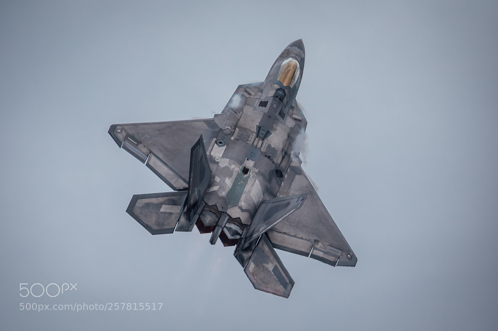 Canon EOS 5D Mark IV sample photo. The f-22 raptor photography