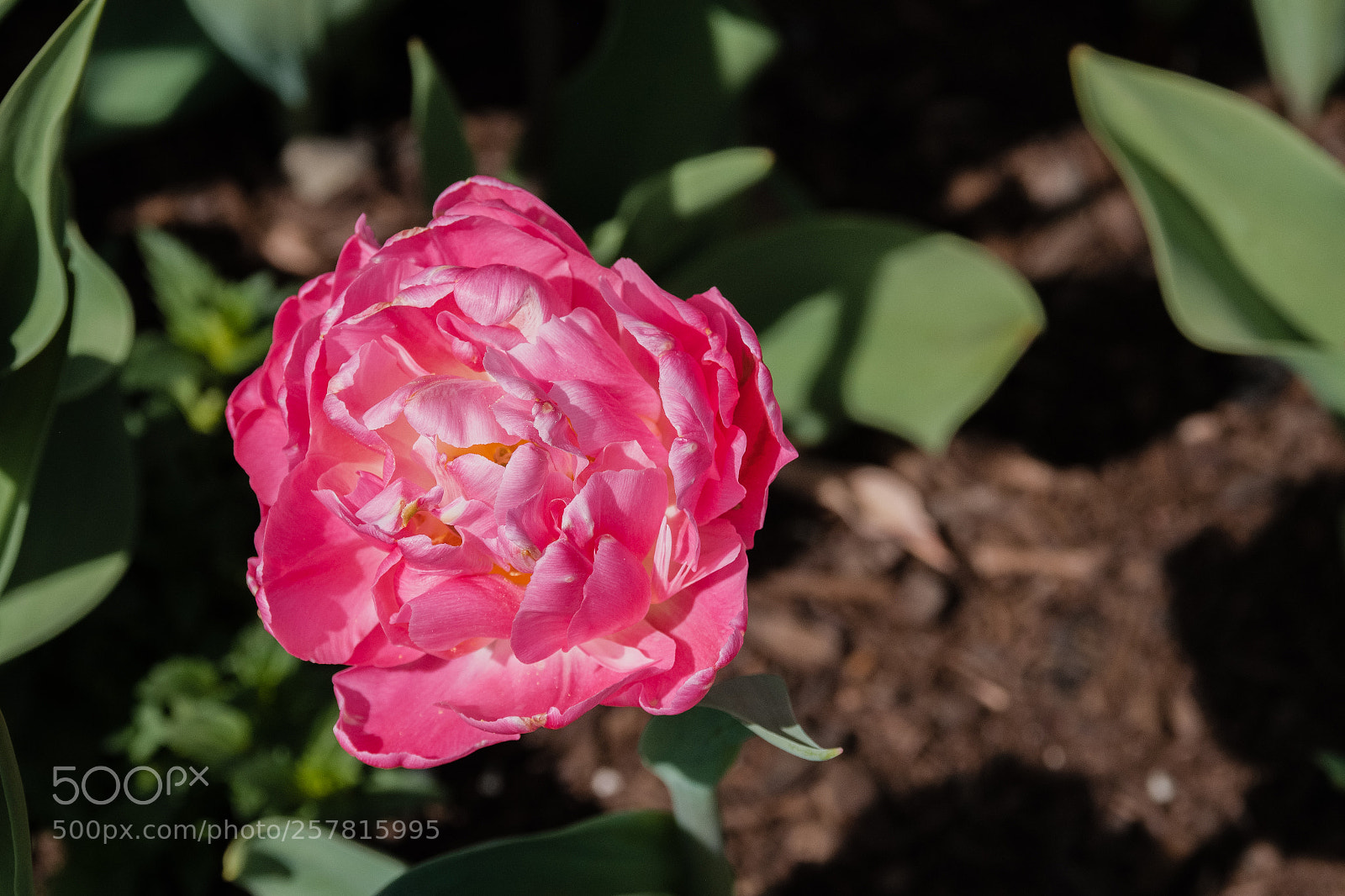 Fujifilm X-H1 sample photo. Cmbg photography