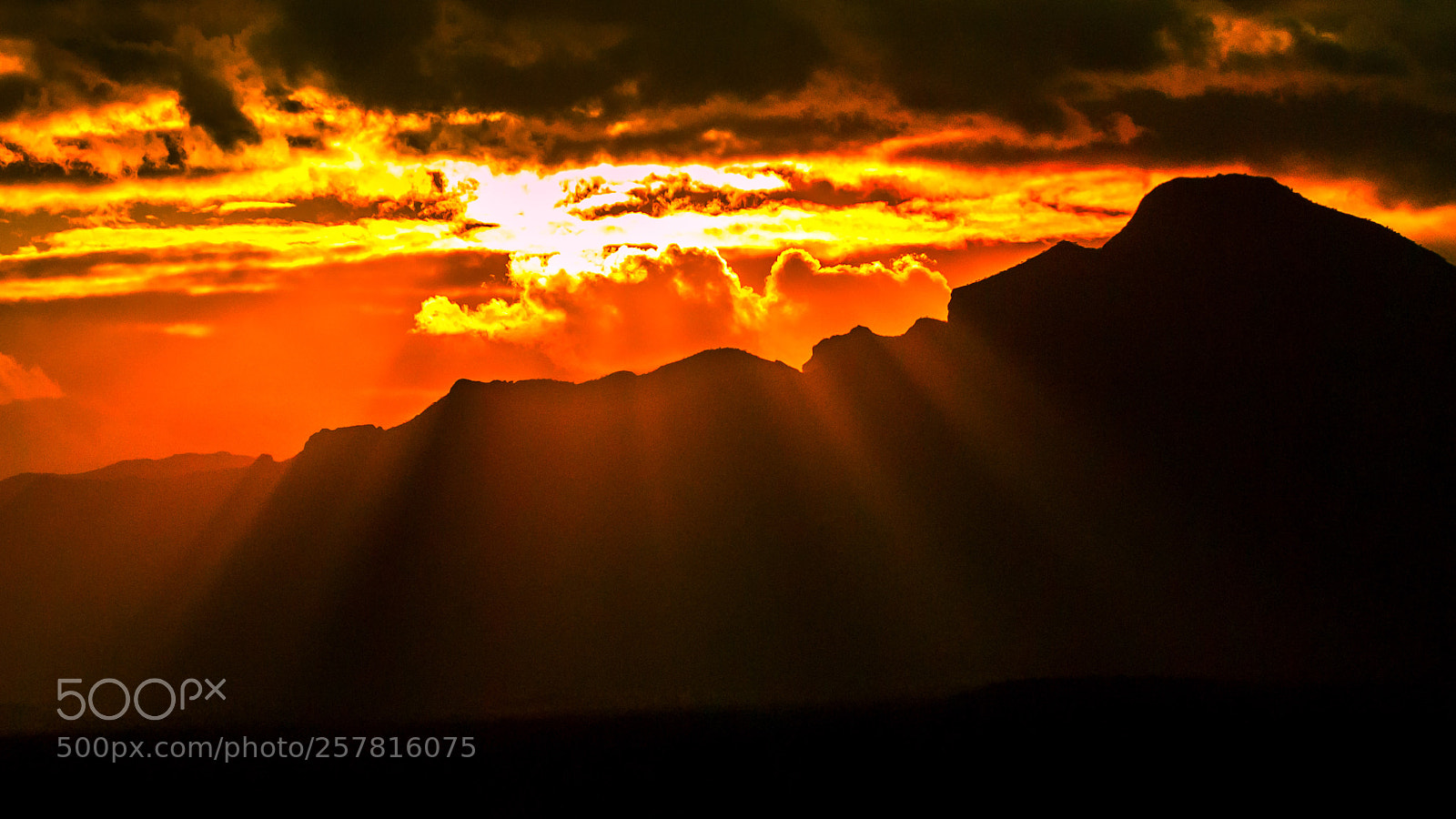 Nikon D200 sample photo. Baja california photography
