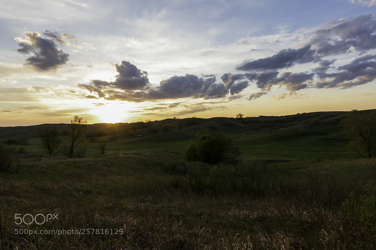 Nikon D750 sample photo. Broken kettle sunset photography