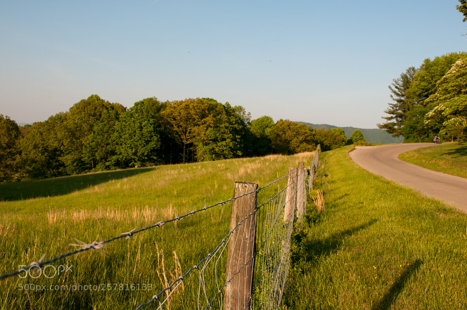 Nikon D300 sample photo. A fenced meadow photography