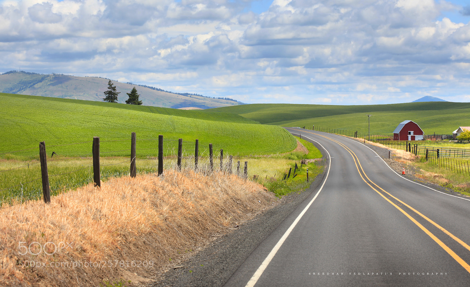 Canon EOS 5D Mark II sample photo. Palouse photography