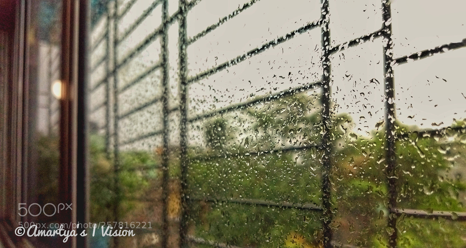 Motorola Moto G (5) Plus sample photo. Tickling raindrops photography