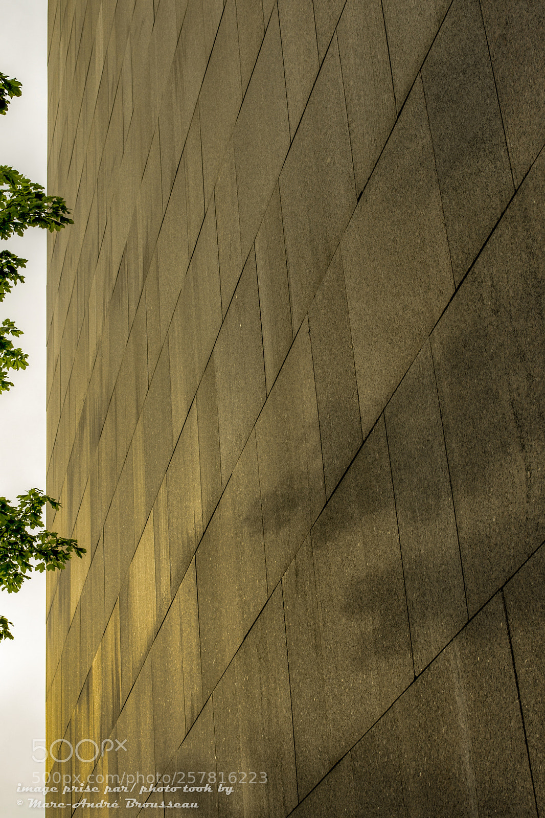 Nikon D7200 sample photo. Le mur et l'ombre photography