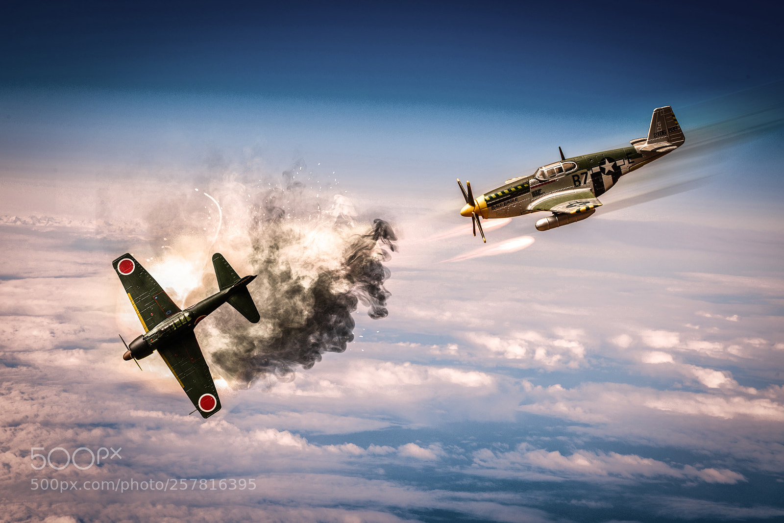 Nikon D3400 sample photo. Dogfight photography
