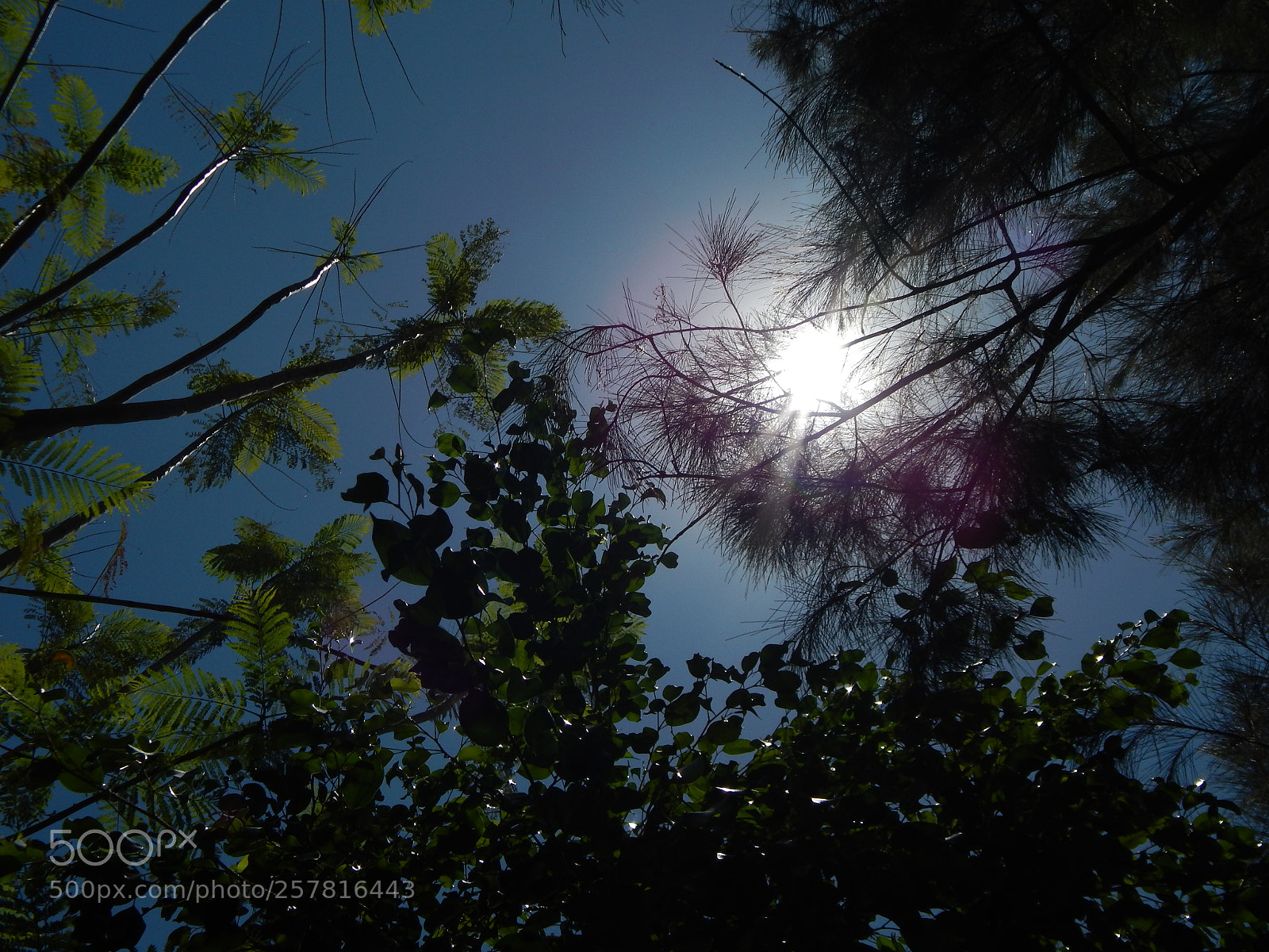 Nikon Coolpix L820 sample photo. Silence photography