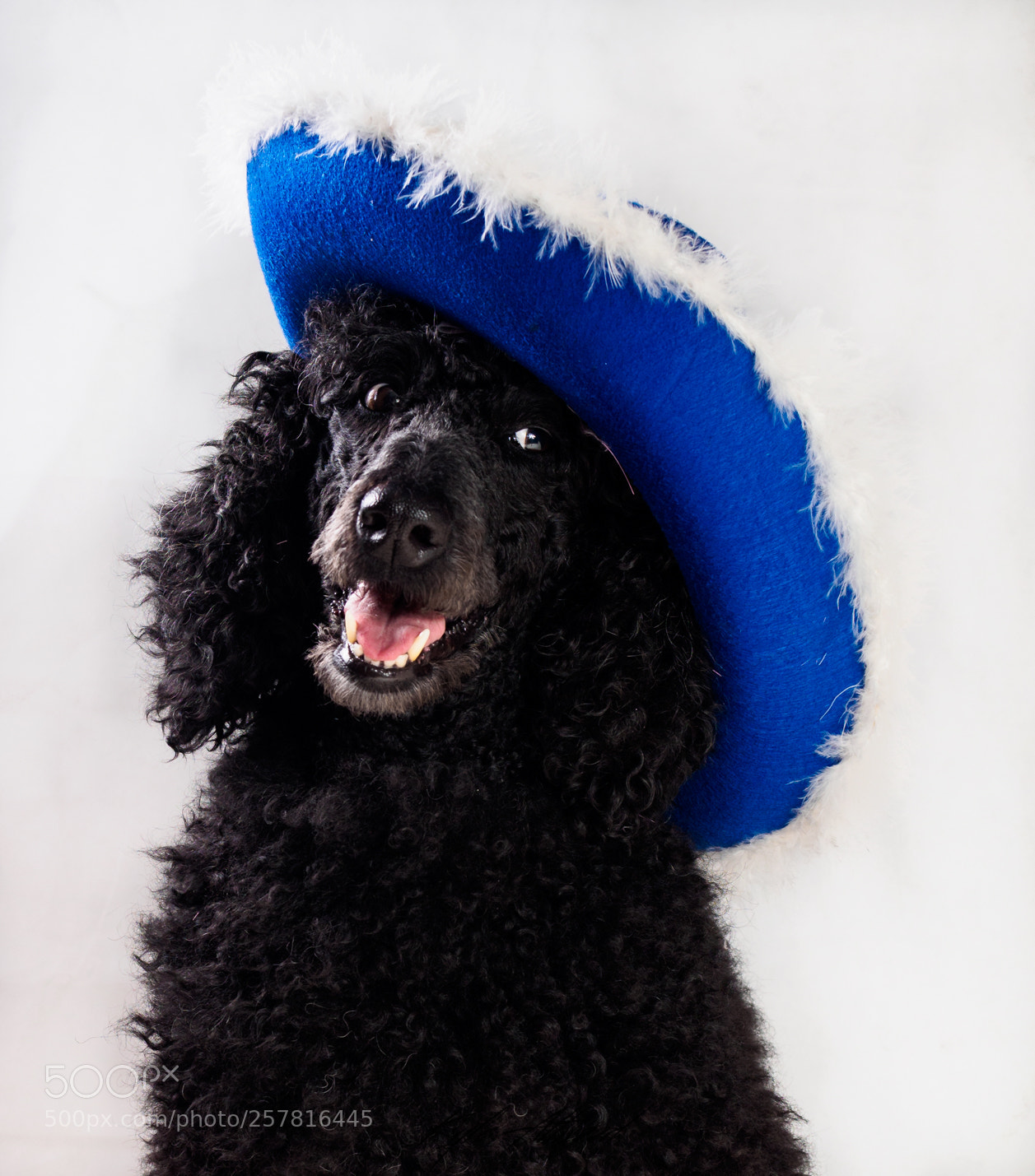 Olympus OM-D E-M5 II sample photo. Eden blue hat photography