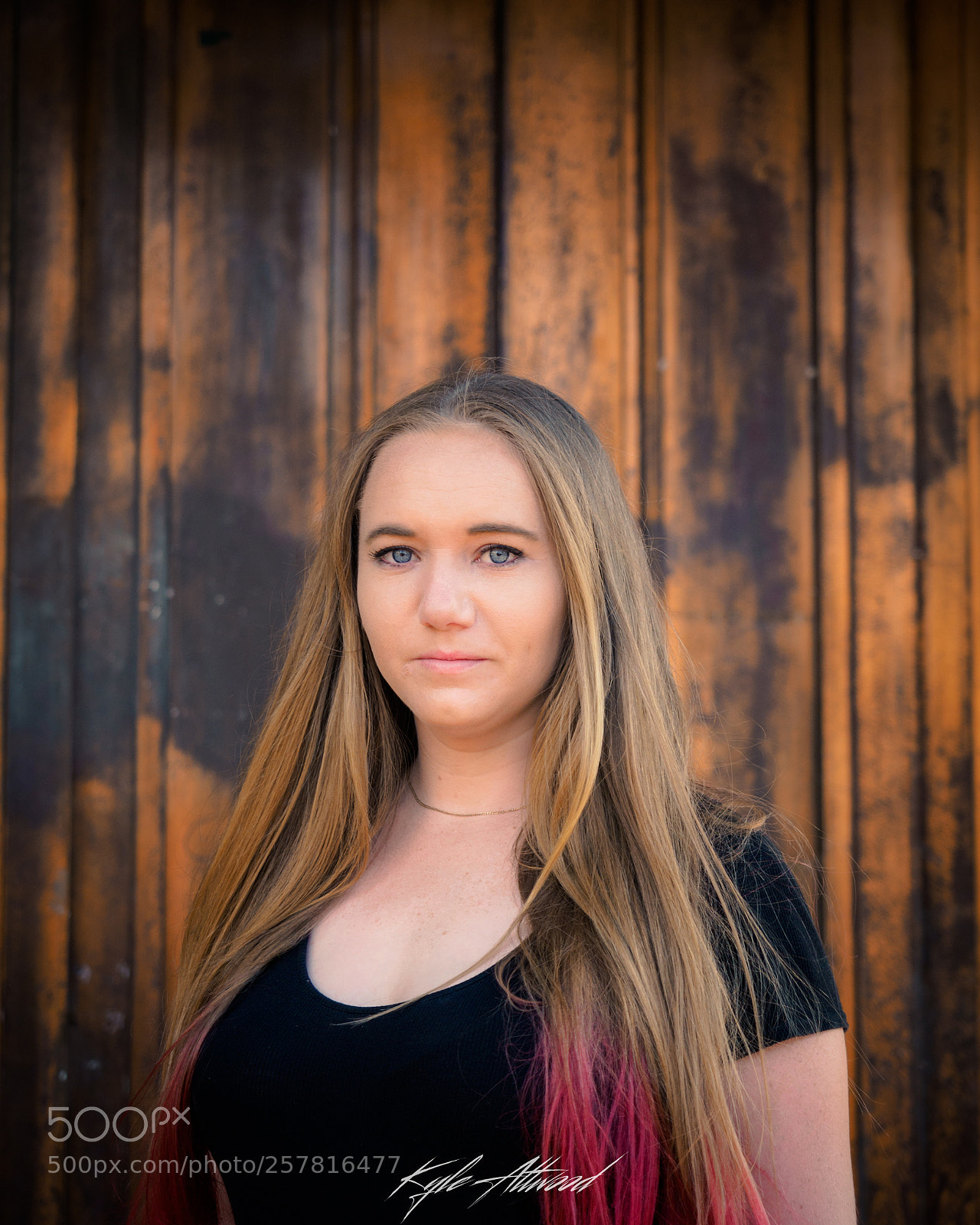 Olympus OM-D E-M5 II sample photo. Daphne photography
