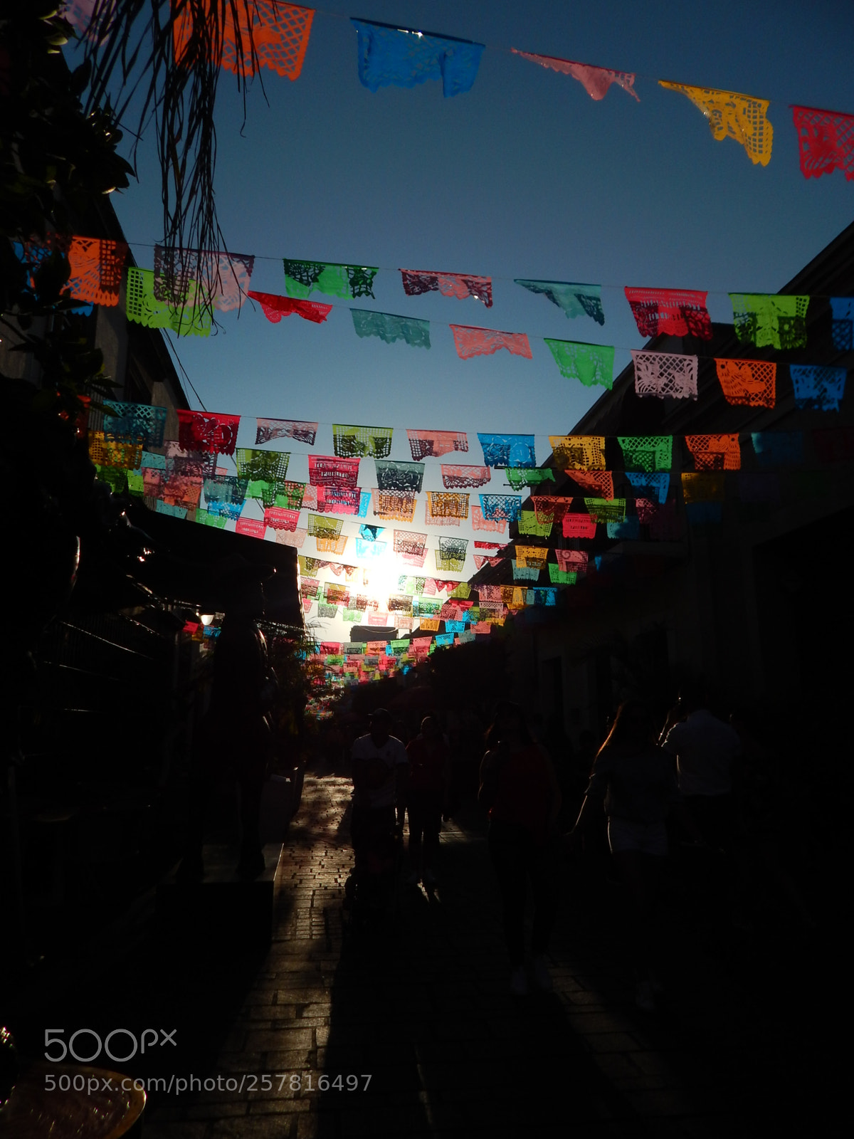 Nikon Coolpix L820 sample photo. Colors photography