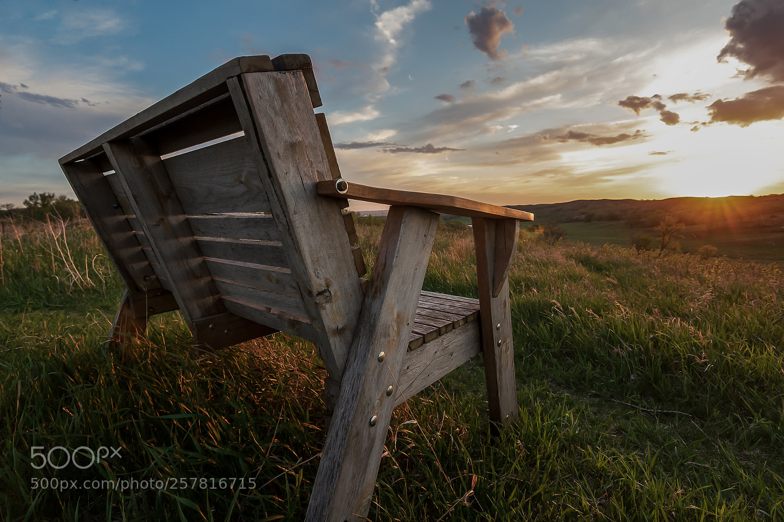 Nikon D750 sample photo. Best seat in the photography