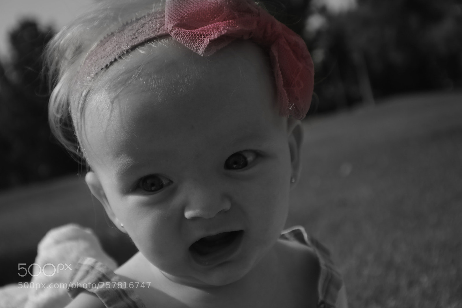 Canon EOS 750D (EOS Rebel T6i / EOS Kiss X8i) sample photo. B photography