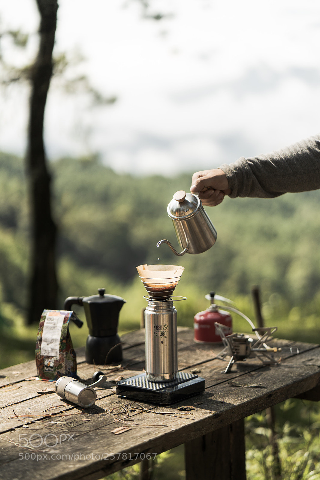 Sony a7 III sample photo. Nature brew  photography