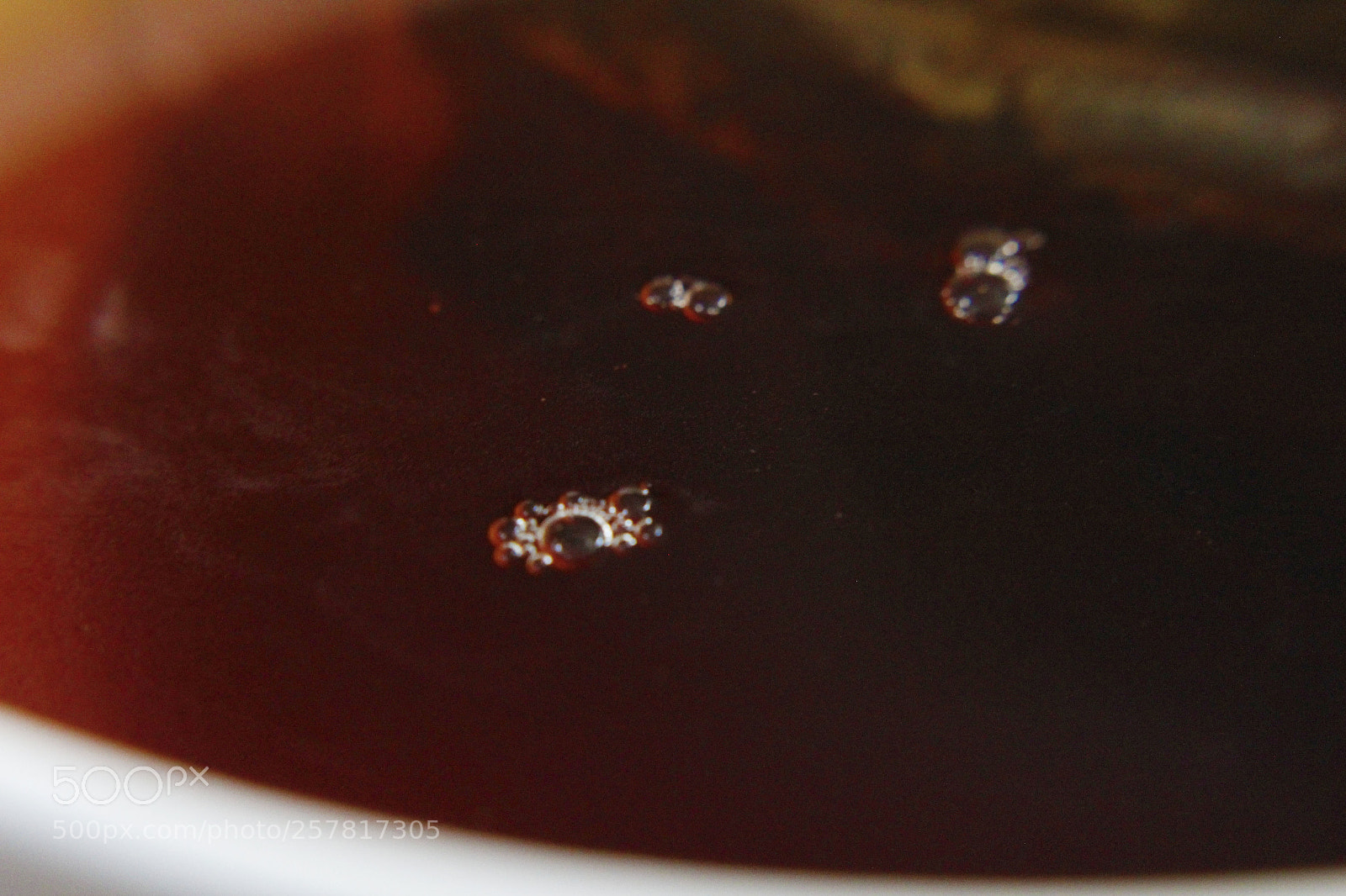 Canon EOS 1200D (EOS Rebel T5 / EOS Kiss X70 / EOS Hi) sample photo. A hint of red photography