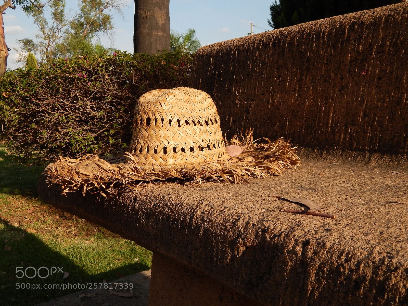 Nikon Coolpix L820 sample photo. Trabajo photography