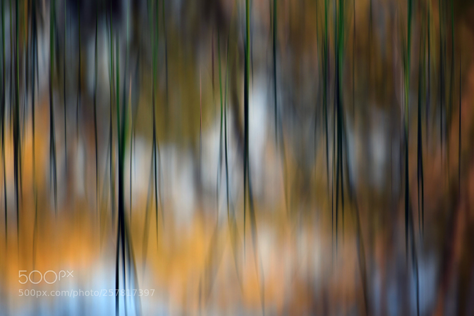 Nikon D750 sample photo. Mirage photography