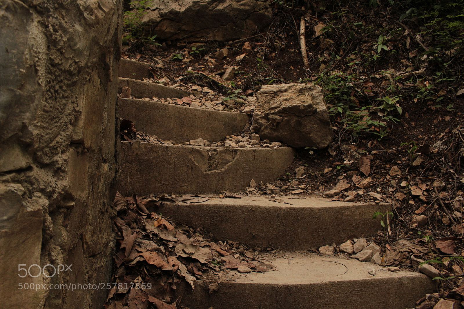 Canon EOS 700D (EOS Rebel T5i / EOS Kiss X7i) sample photo. Maravillas por descubrir photography