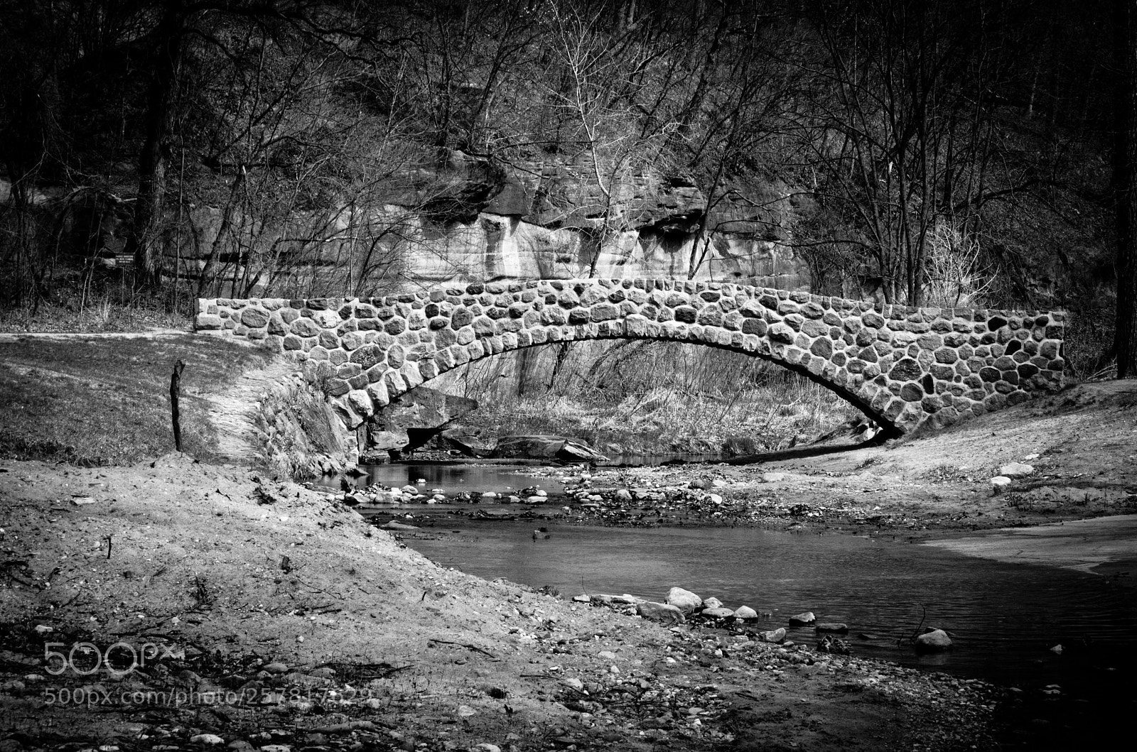 Nikon D5100 sample photo. Untitled photography