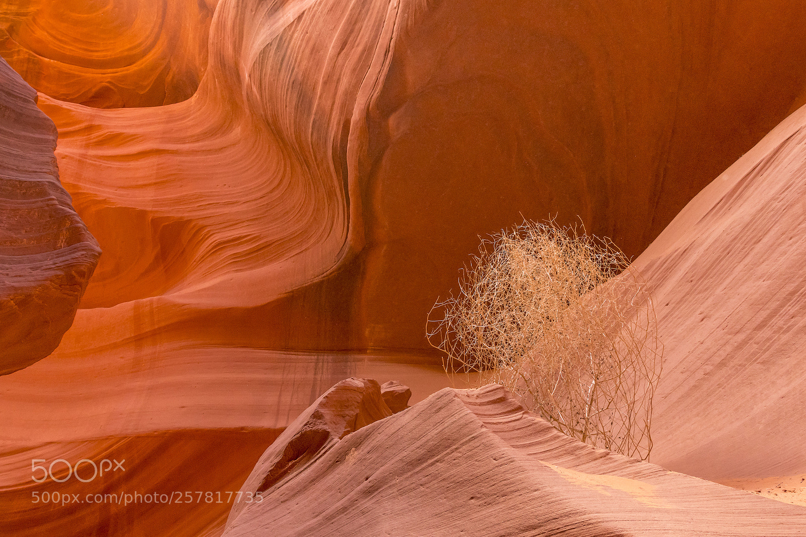 Nikon D500 sample photo. Antelope canyon #2 photography