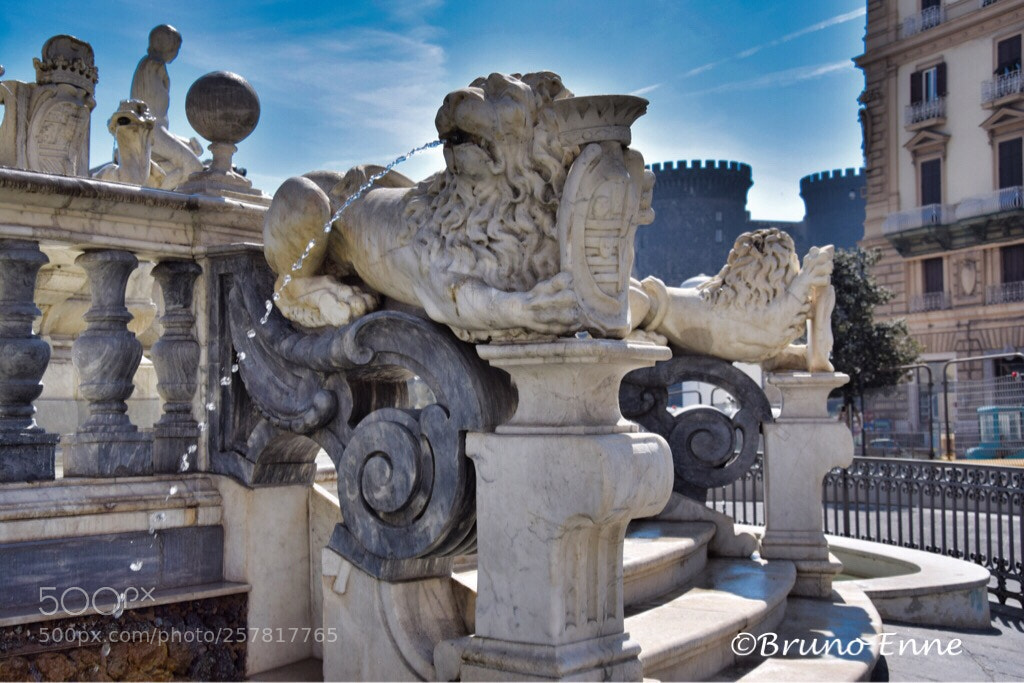 Nikon D3300 sample photo. Fontana del nettuno photography