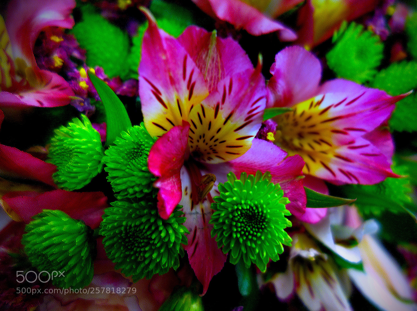 Sony Cyber-shot DSC-RX100 sample photo. Copia photography