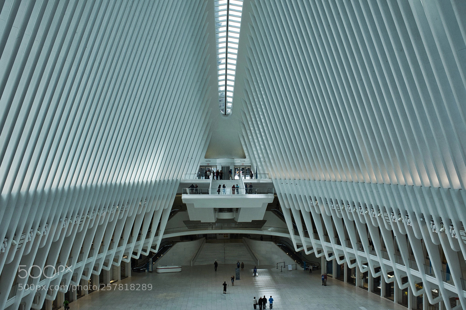 Fujifilm X100S sample photo. Inside the oculus photography