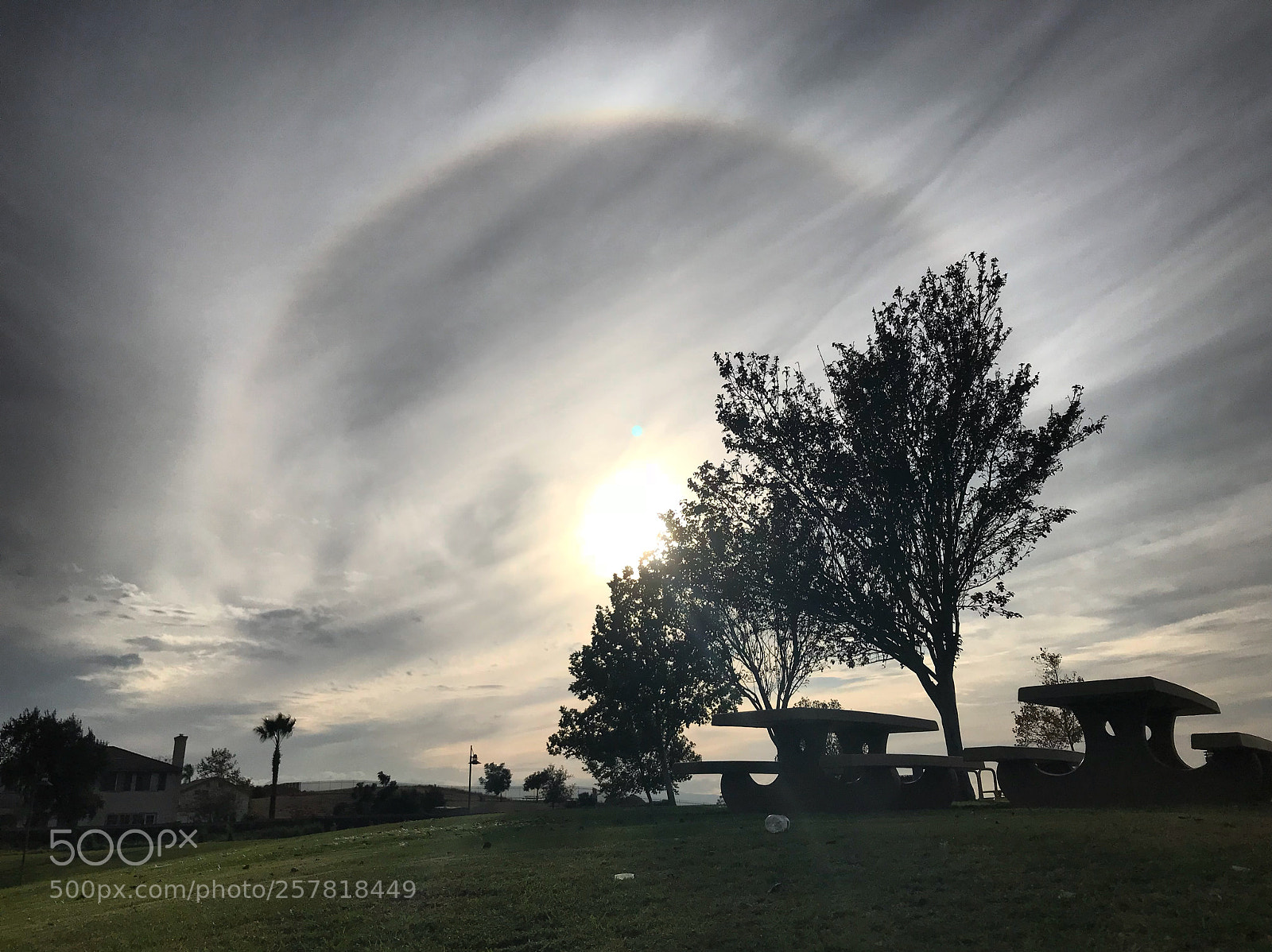 Apple iPhone 7 sample photo. Sun halo photography