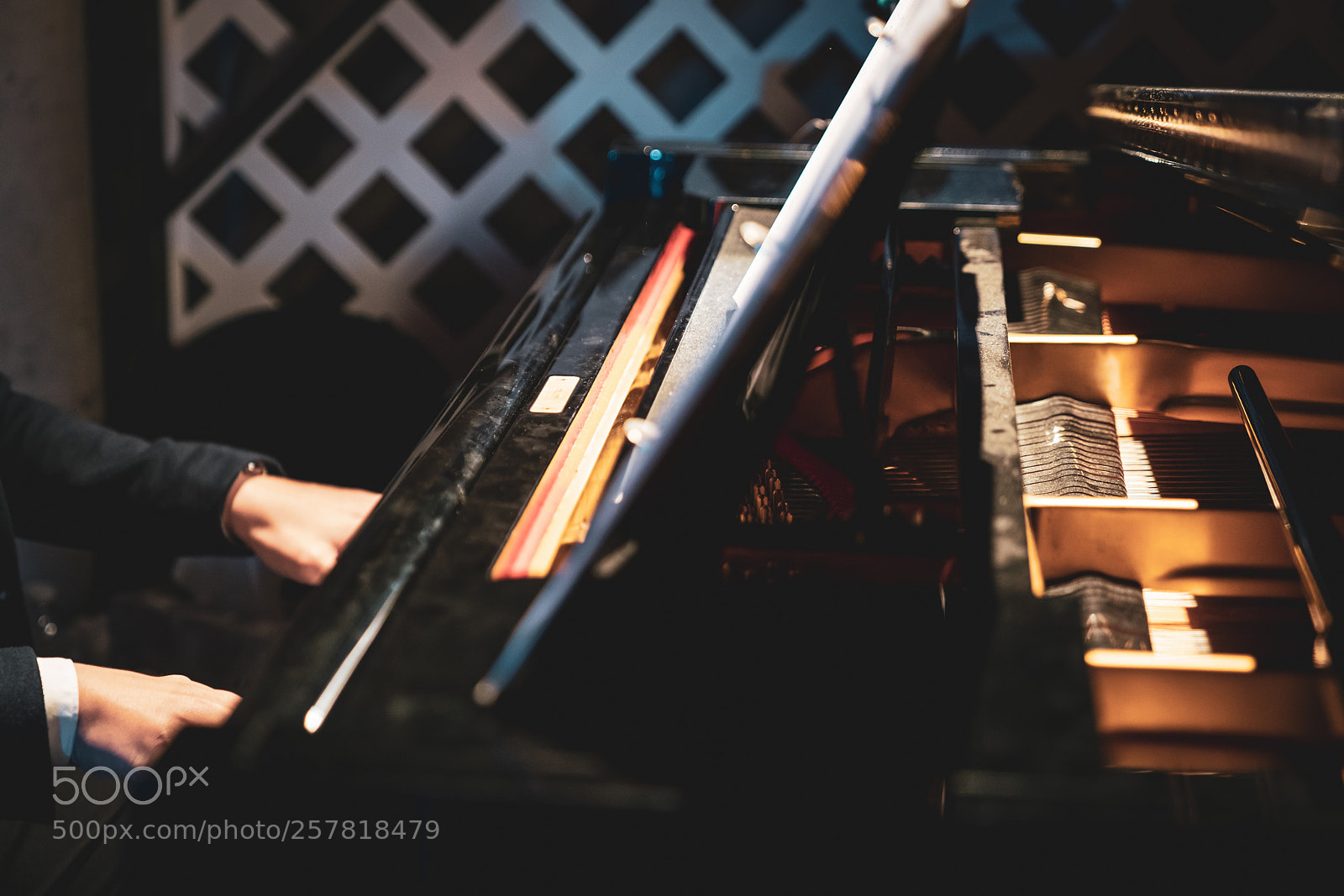 Sony a7R II sample photo. No name photography