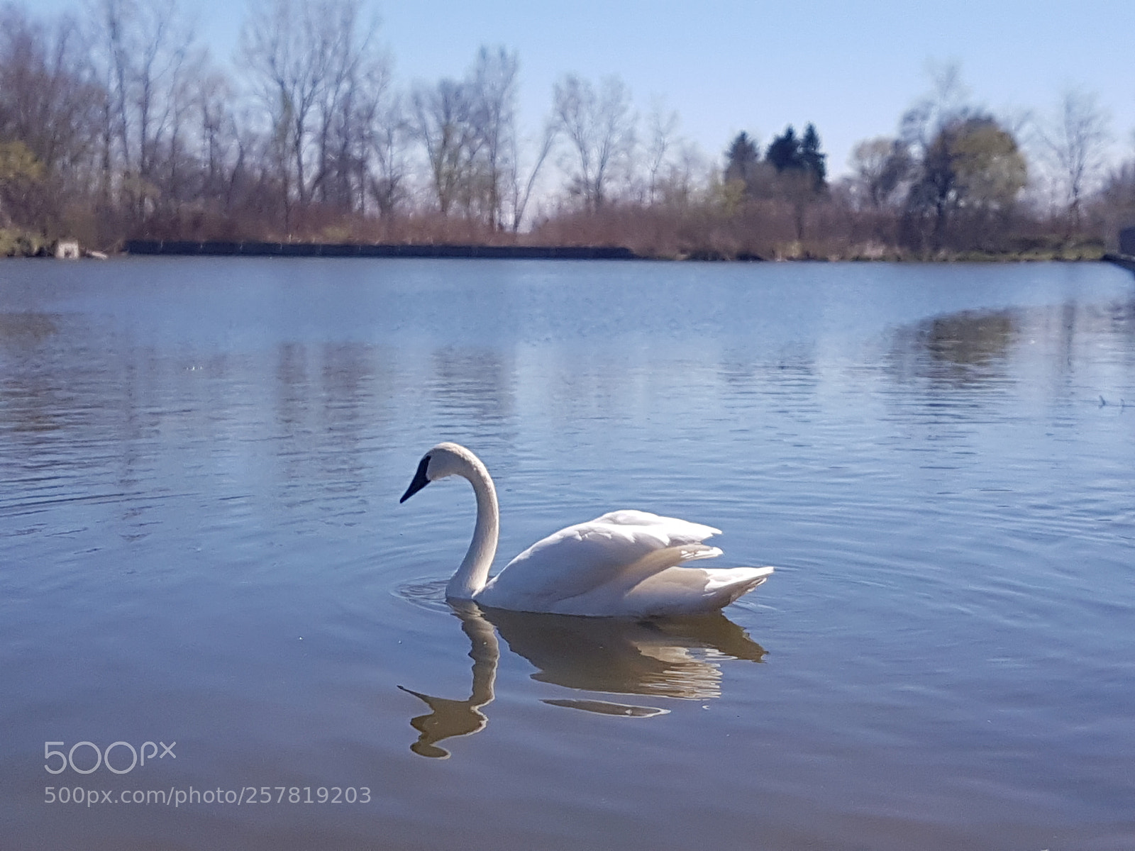 Samsung Galaxy S7 sample photo. The ugly duck who photography