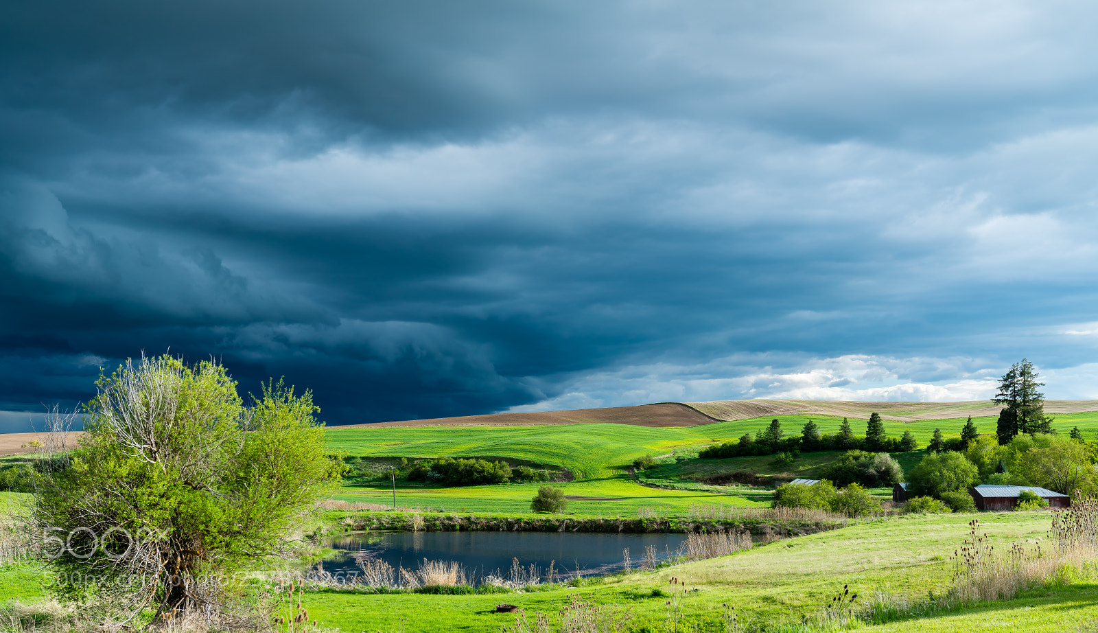 Sony a7R III sample photo. Palouse photography