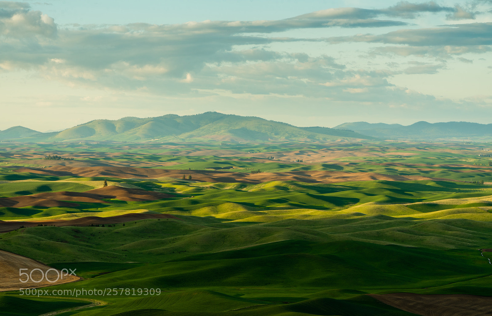 Sony a7R III sample photo. Palouse photography