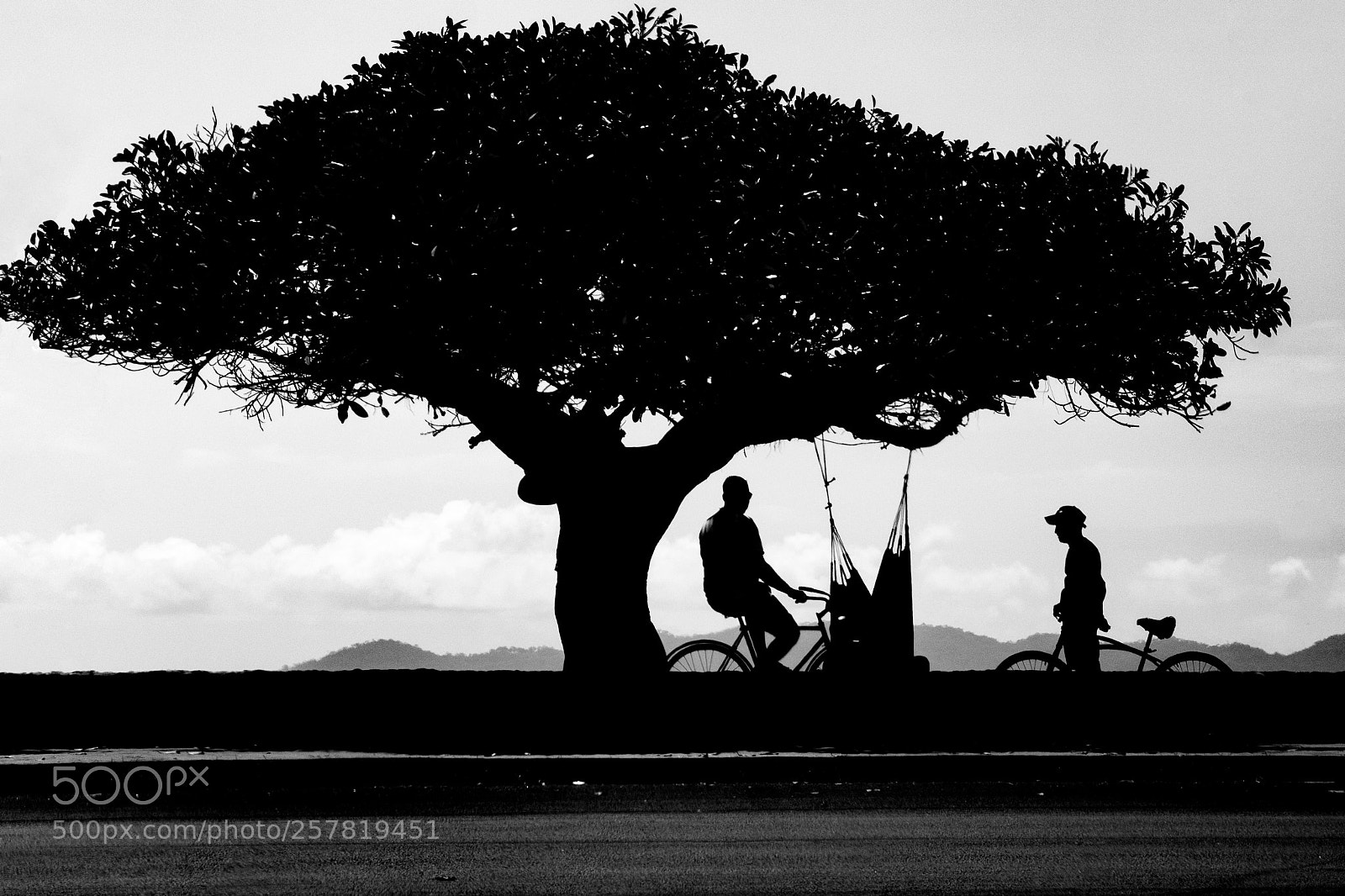 Nikon D7100 sample photo. Relax photography