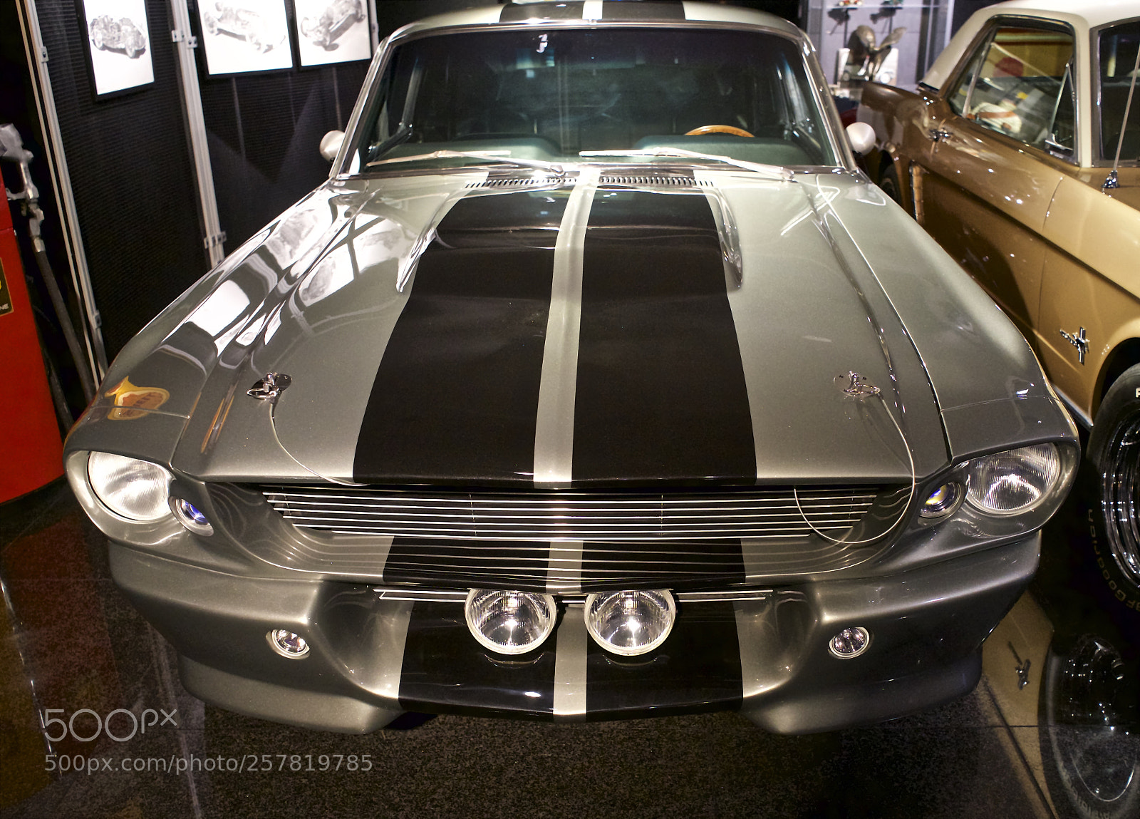 Sony a7 sample photo. 1967 shelby mustang gt500 photography
