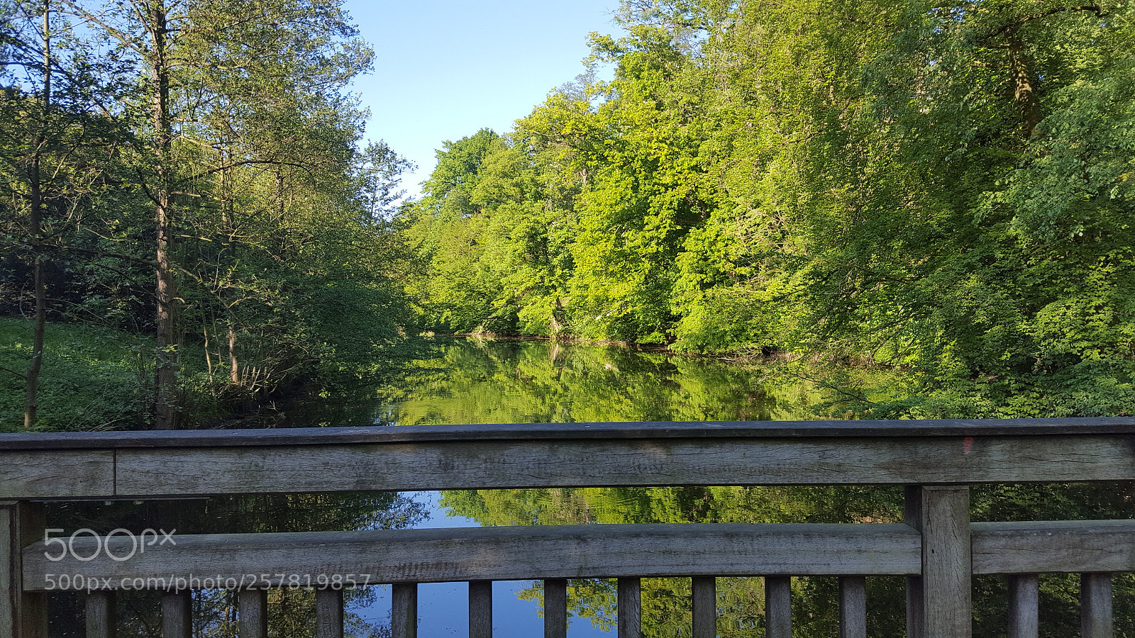 Samsung GALAXY S6 edge sample photo. Untitled photography