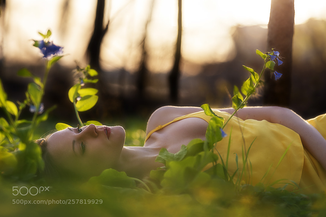 Nikon D750 sample photo. Morning serenity photography