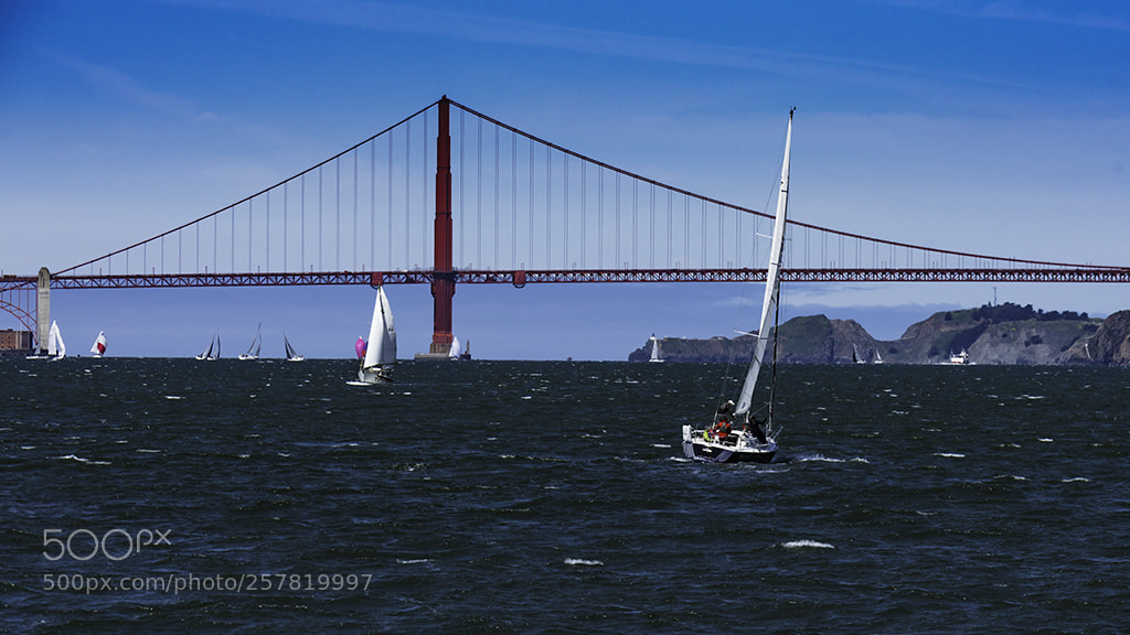 Nikon D810 sample photo. The golden gate bridge photography
