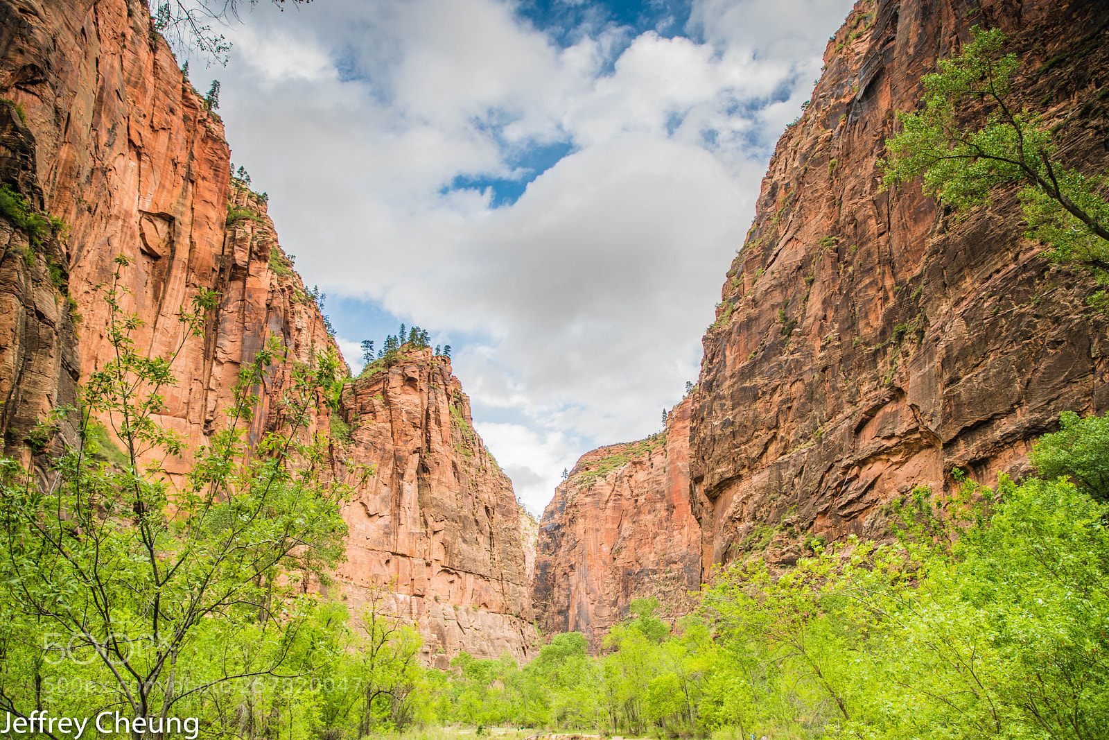 Sony a7R II sample photo. Zion national park photography