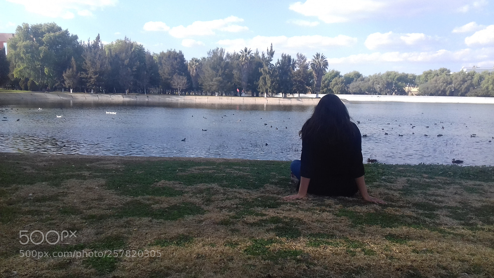 Samsung Galaxy Grand Prime sample photo. Million reasons photography